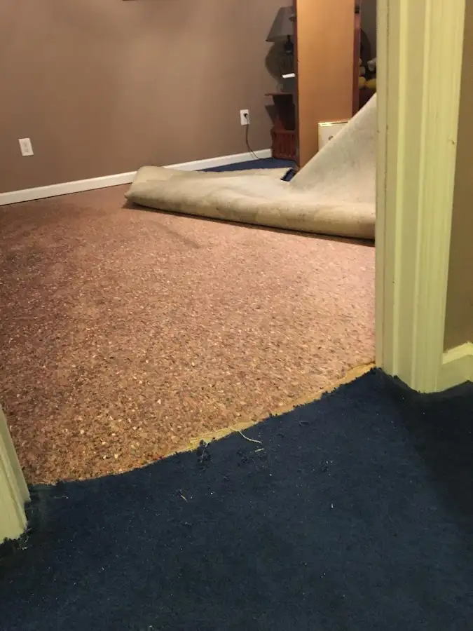 Carpet pad removal revealing water damage during Drying & Dehumidification in Clovis
