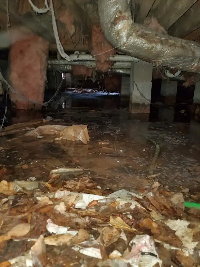 Crawl space flood assessment for Leak Detection & Repair in Clovis